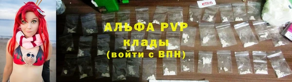 индика Гусь-Хрустальный