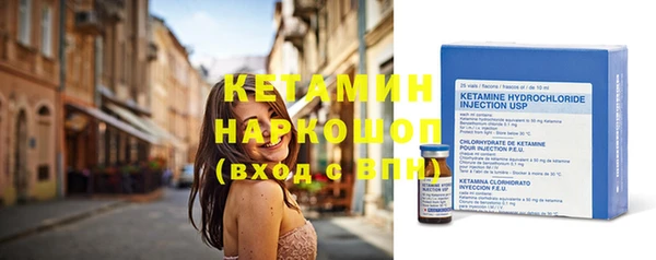 индика Гусь-Хрустальный
