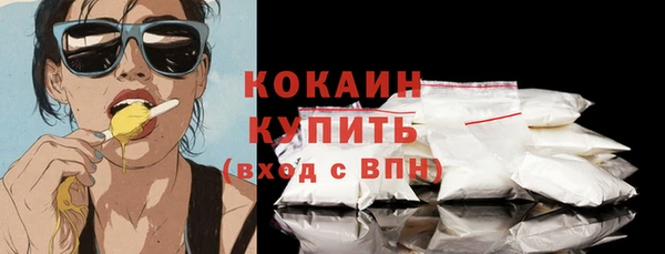 спиды Гусев