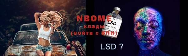 спиды Гусев