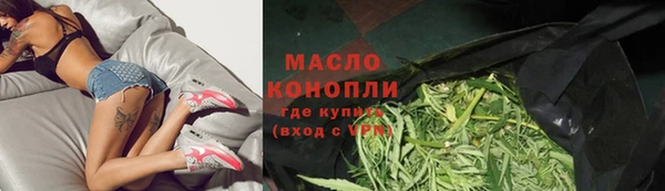 индика Гусь-Хрустальный