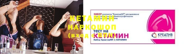 индика Гусь-Хрустальный
