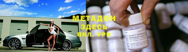 индика Гусь-Хрустальный