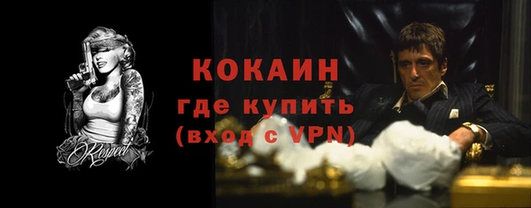 спиды Гусев