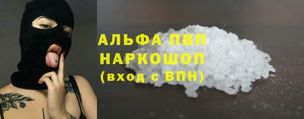 спиды Гусев