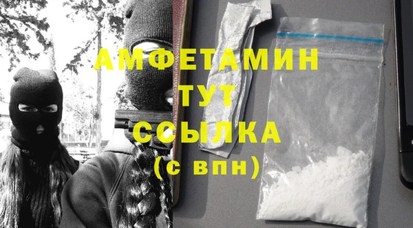 индика Гусь-Хрустальный
