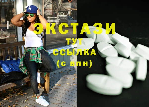индика Гусь-Хрустальный