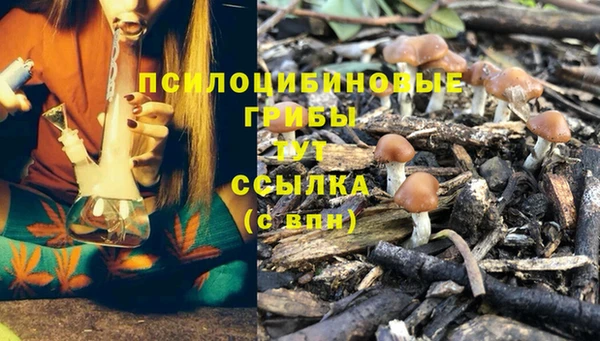 спиды Гусев