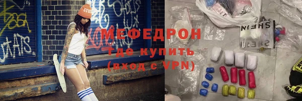 индика Гусь-Хрустальный