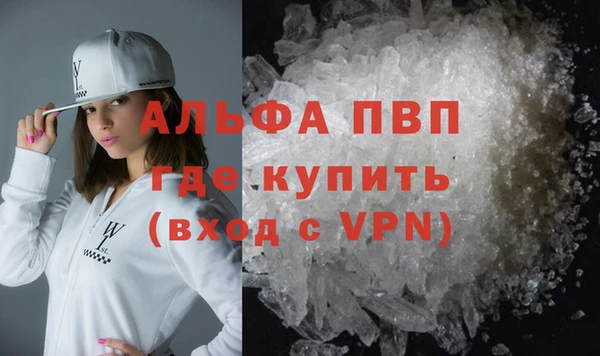 спиды Гусев