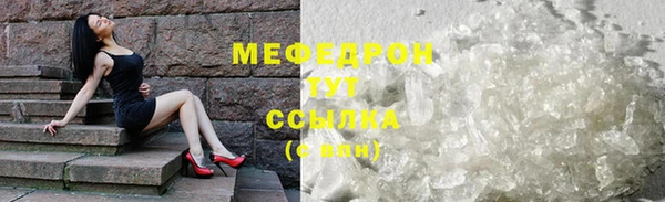 индика Гусь-Хрустальный