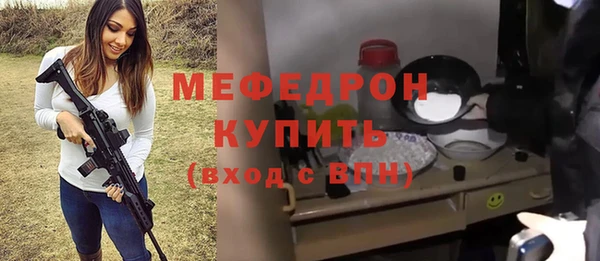индика Гусь-Хрустальный