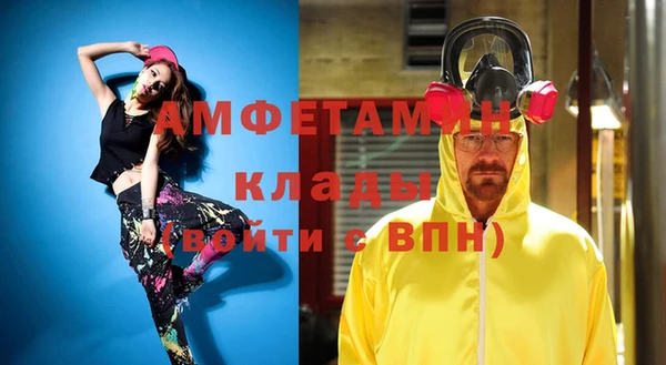 индика Гусь-Хрустальный