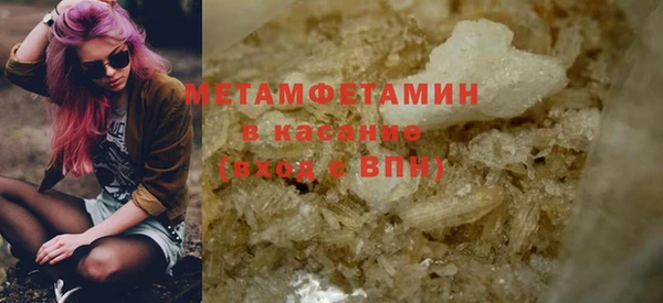 индика Гусь-Хрустальный