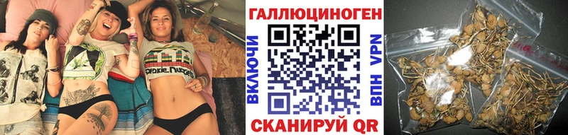 наркошоп  OMG маркетплейс  Псилоцибиновые грибы Cubensis  Новокубанск 